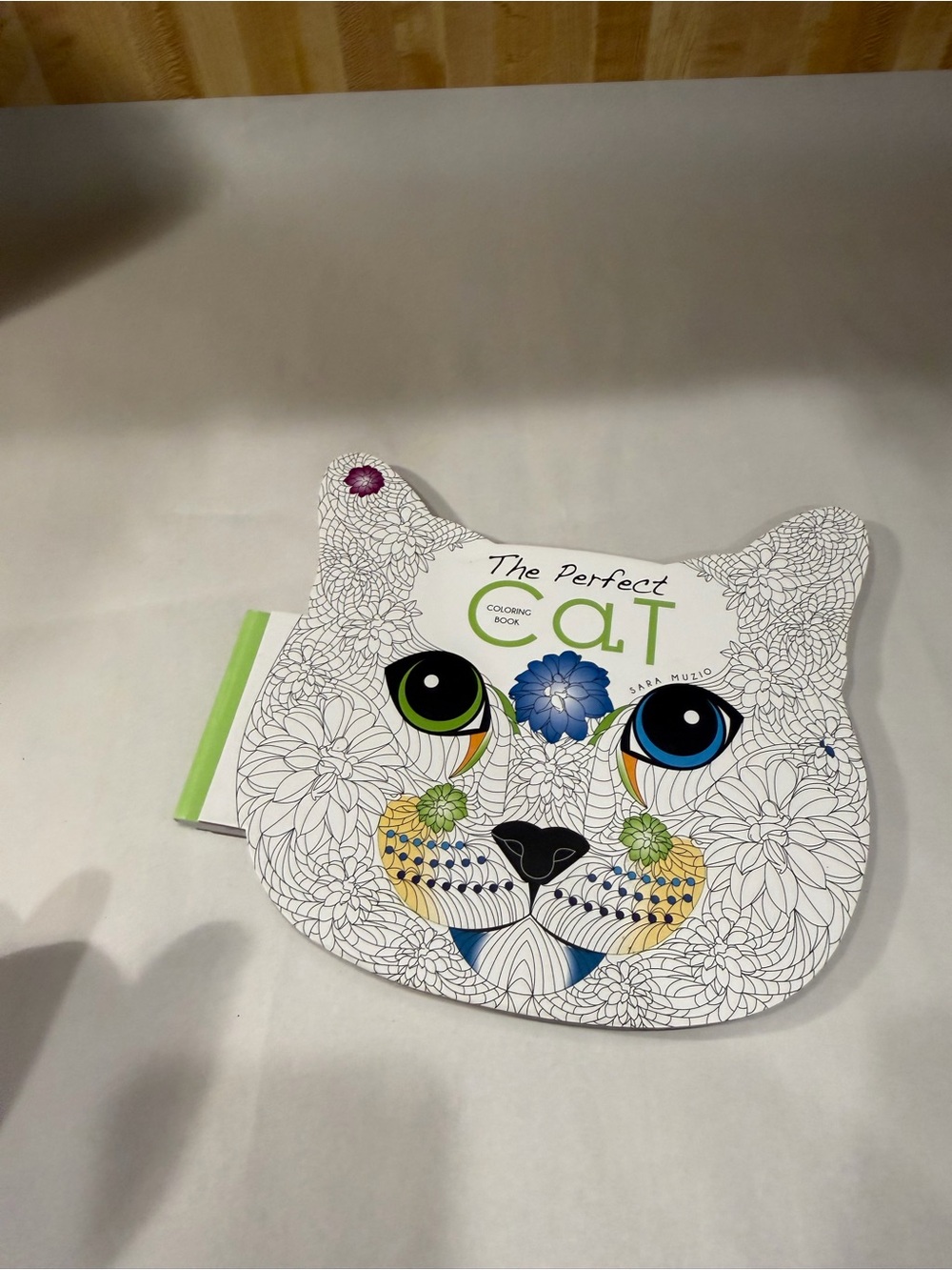 CAT COLORING BOOK